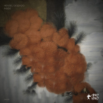 Hensel Delgado - Inside