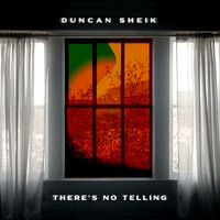 DUNCAN SHEIK - There's No Telling