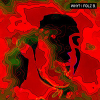 Folz B. - Why?