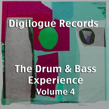Various Artists - The Drum & Bass Experience, Vol. 4