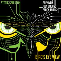 Statik Selektah - Bird's Eye View (feat. Raekwon, Joey Bada$$, Black Thought) - Single