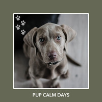 Relaxing Dog Music - Pup Calm Days