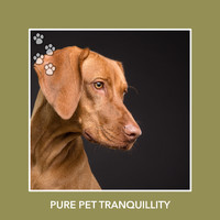 Relaxing Dog Music - Pure Pet Tranquillity