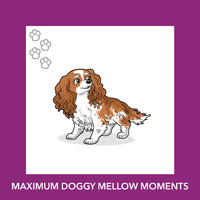 Relaxing Dog Music - Maximum Doggy Mellow Moments