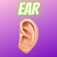 DJ CBee SUPREME - Ear