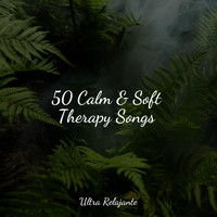 Zarobi, Tibetan Singing Bowls for Relaxation, Chakra Meditation Universe - 50 Calm & Soft Therapy Songs