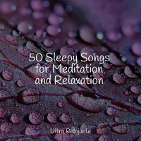 Entspannungsmusik, White Noise Sleep Sounds, Ambient Music Therapy - 50 Sleepy Songs for Meditation and Relaxation