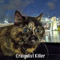 The Zolas - Craigslist Killer (Explicit)