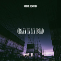 Alban Berisha - Crazy In My Head