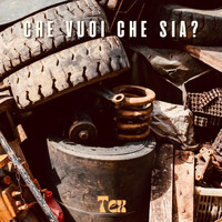 Tex - Che vuoi che sia?