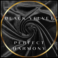 Black Velvet - Perfect Harmony