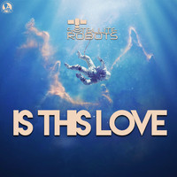 Satellite Robots - Is This Love