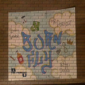 Mr. Perfect - Born Fly (Explicit)
