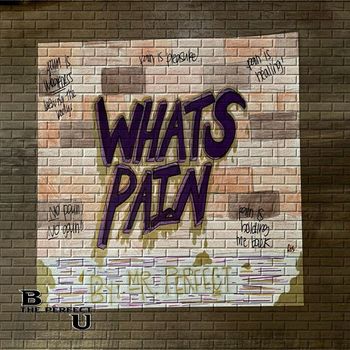Mr. Perfect - What's Pain (Explicit)