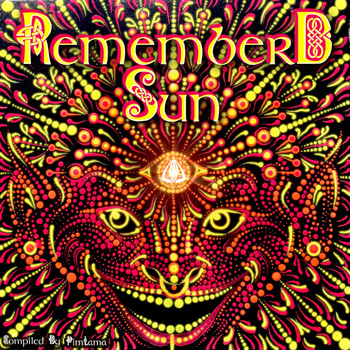 Various Artists - Remember D Sun
