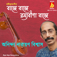 Anindya Narayan Biswas - Baje Baje Romyobina