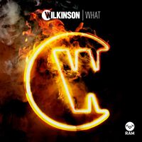 Wilkinson - What