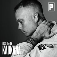 Pikku G - Kaukana (feat. ANI)