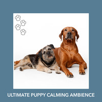 Relaxing Dog Music - Ultimate Puppy Calming Ambience
