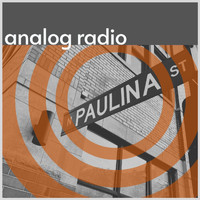 Analog Radio - Paulina