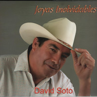 David Soto - Joyas Inolvidables
