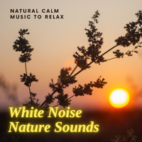 Sounds of Nature White Noise Sound Effects - White Noise Nature Sounds - Natural Calm Music to Relax