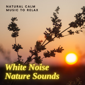 Sounds of Nature White Noise Sound Effects - White Noise Nature Sounds - Natural Calm Music to Relax