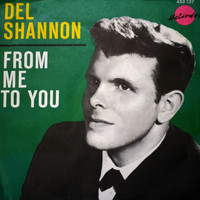 Del Shannon - From Me To You