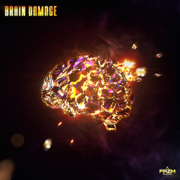PRZM - Brain Damage