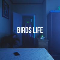 Alex Paul - Birds Life