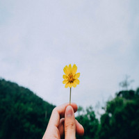 Mark Michael - Like a Flower