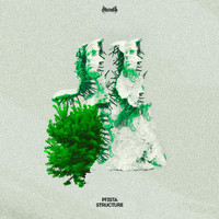 Pfista - Structure