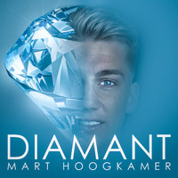Mart Hoogkamer - Diamant