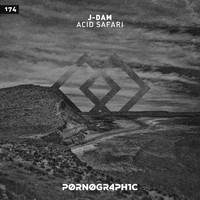 J-Dam - Acid Safari