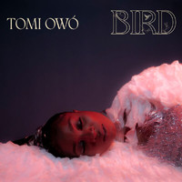 Tomi Owó - Bird