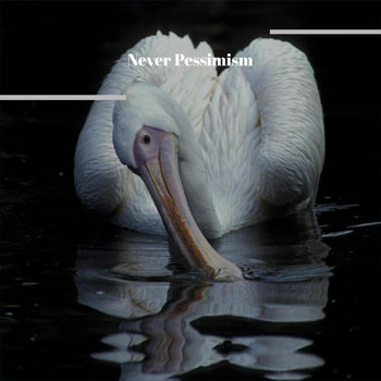 Various Artists - Never Pessimism