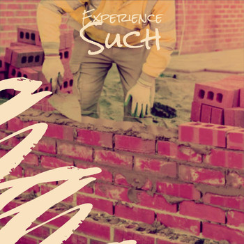 Various Artists - Experience Such