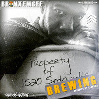Bronx Emcee - Brewing