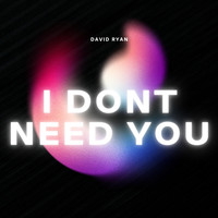 David Ryan - I Dont Need You