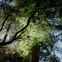 R_R_ - Flight Series Vol. 1