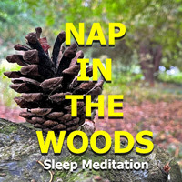 Christian Thomas - Nap in the Woods Sleep Meditation
