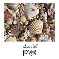 Becky Ainge - Seashells