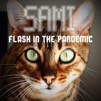Sami - Flash in the Pandemic