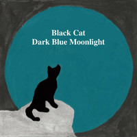 Black Cat - Dark Blue Moonlight