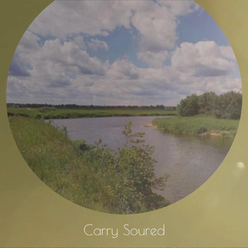Various Artists - Carry Soured