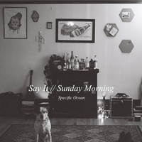 Specific Ocean - Say It / Sunday Morning