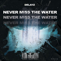 Delayz - Never Miss the Water