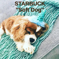 Starbuck - Soft Dog