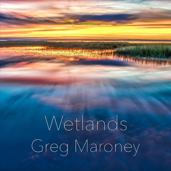 Greg Maroney - Wetlands