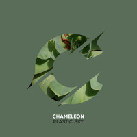 CHAMELEON - Plastic Sky